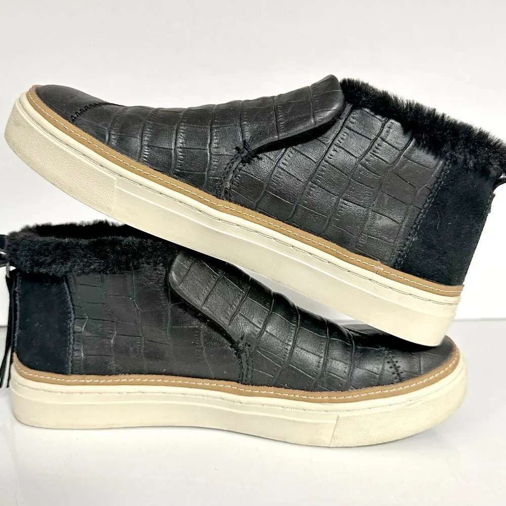 Toms Paxton Sneaker